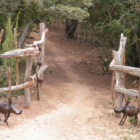 Вилла Addo Dung Beetle Guest Farm Экстерьер фото
