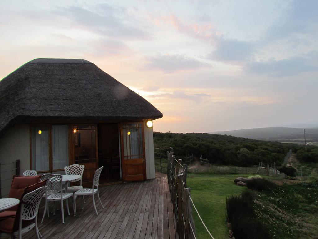 Вилла Addo Dung Beetle Guest Farm Экстерьер фото
