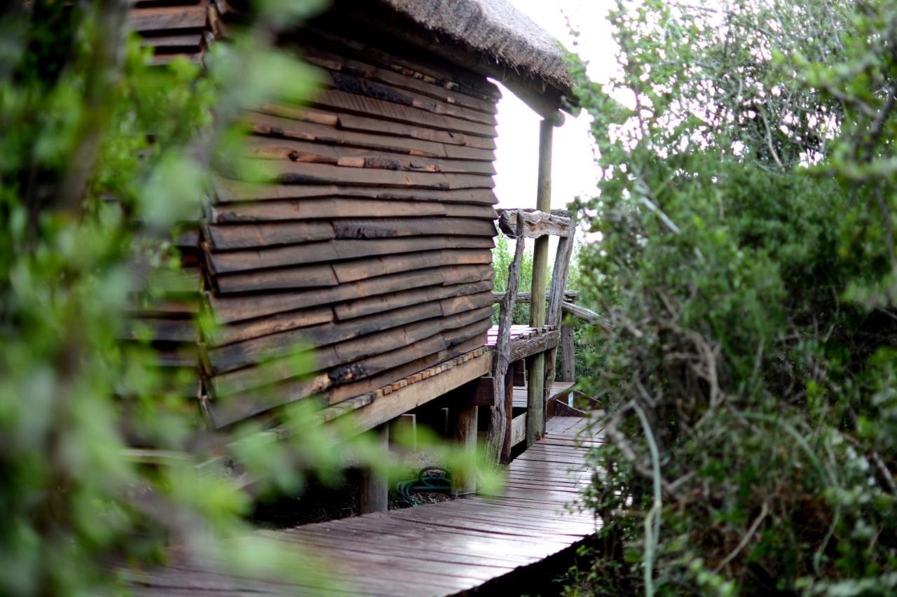 Вилла Addo Dung Beetle Guest Farm Экстерьер фото